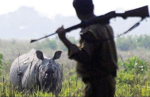 Encounter at Biswanath: Poacher injured in Biswanath police firing