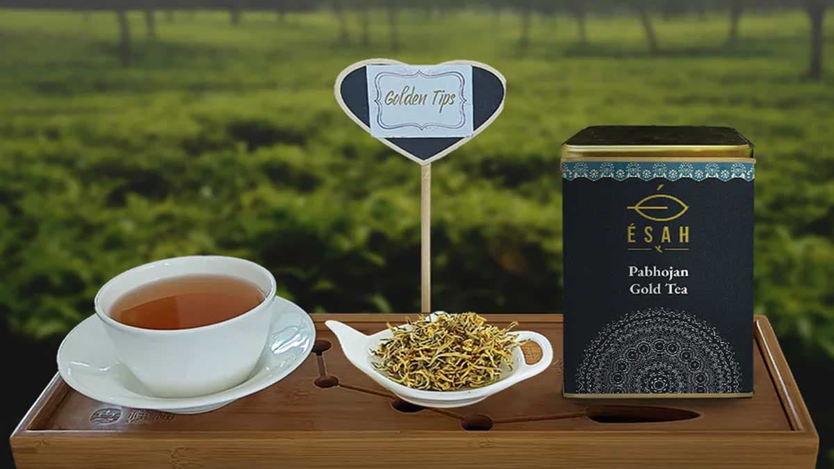 Assam Tea: Rare variety of Pabhojan Gold tea sold for Rs 1 lakh per kg