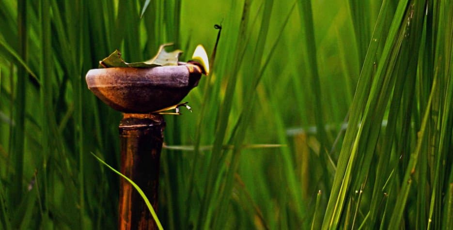 Kati Bihu - Here's everything you need to know about Kati Bihu