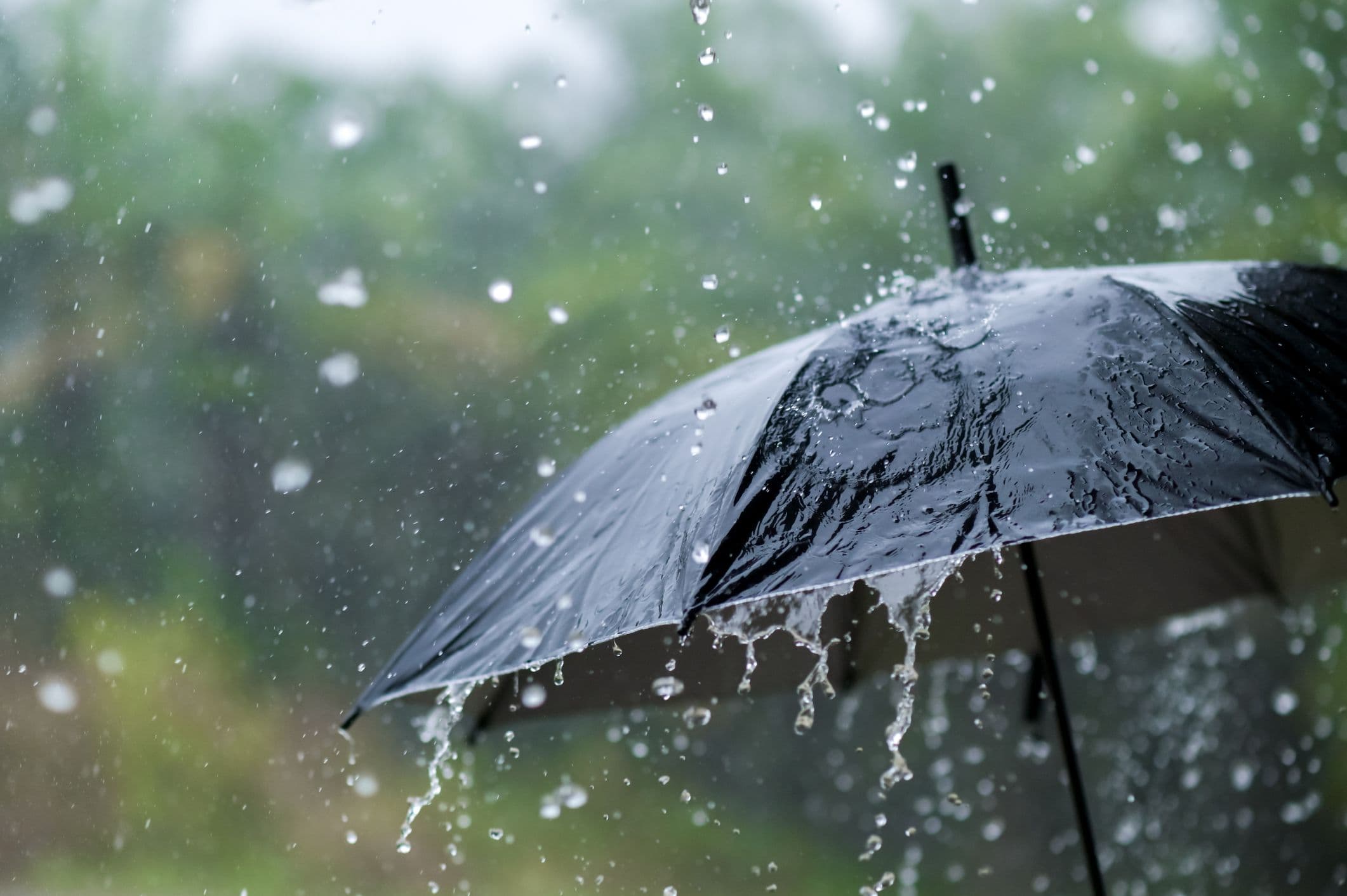 Northeastern states are under a heavy rain warning- IMD