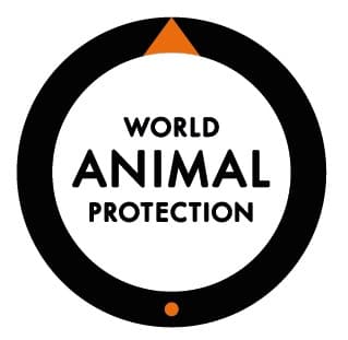 Treat wildlife and farm animals responsibly, says World Animal Protection on World Environment Day, 2024