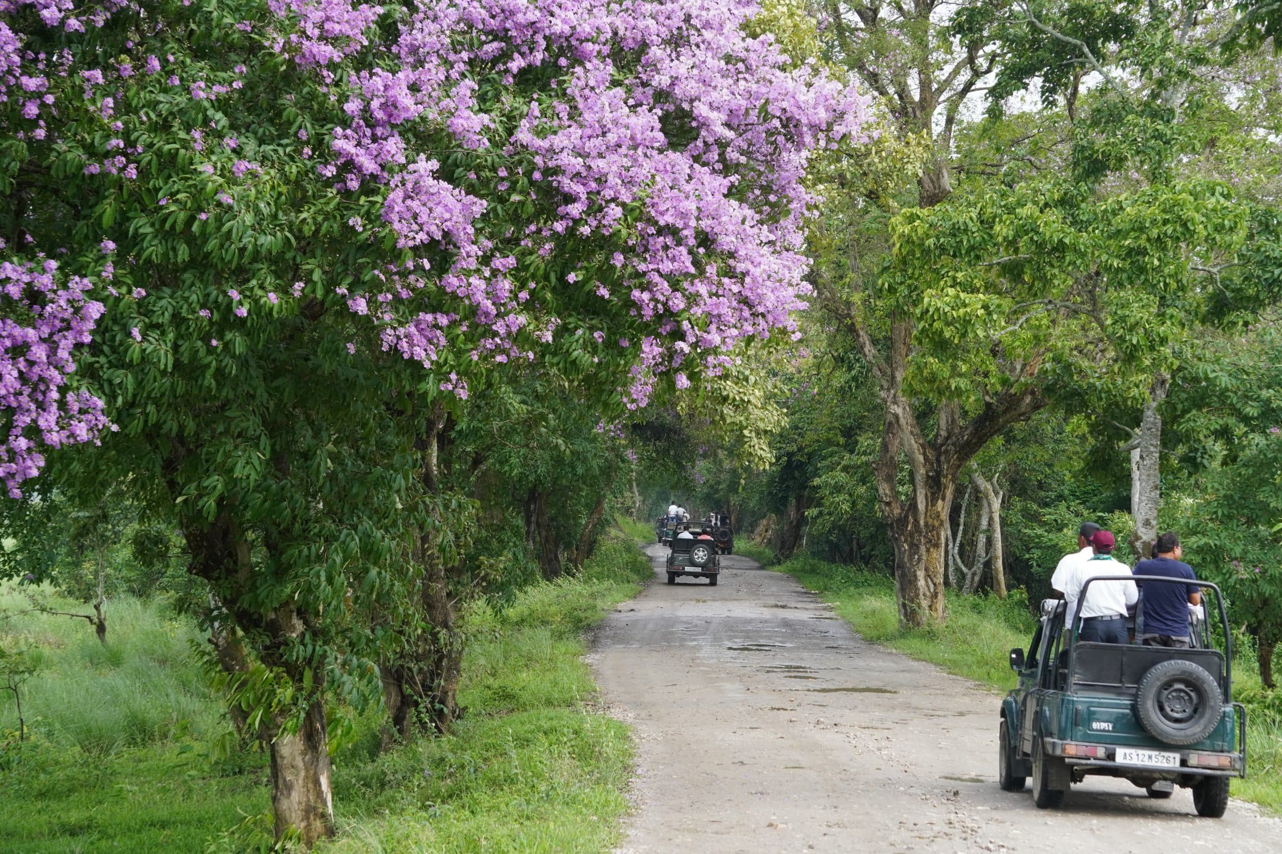 Pobitora Wildlife Sanctuary Team Visits Kaziranga to Learn Community Conservation Models