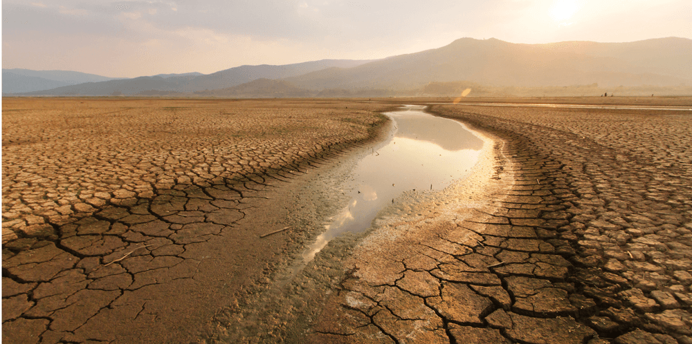 Assam Faces Over 42% Rainfall Deficit, 27 Districts in Drought-Like Crisis