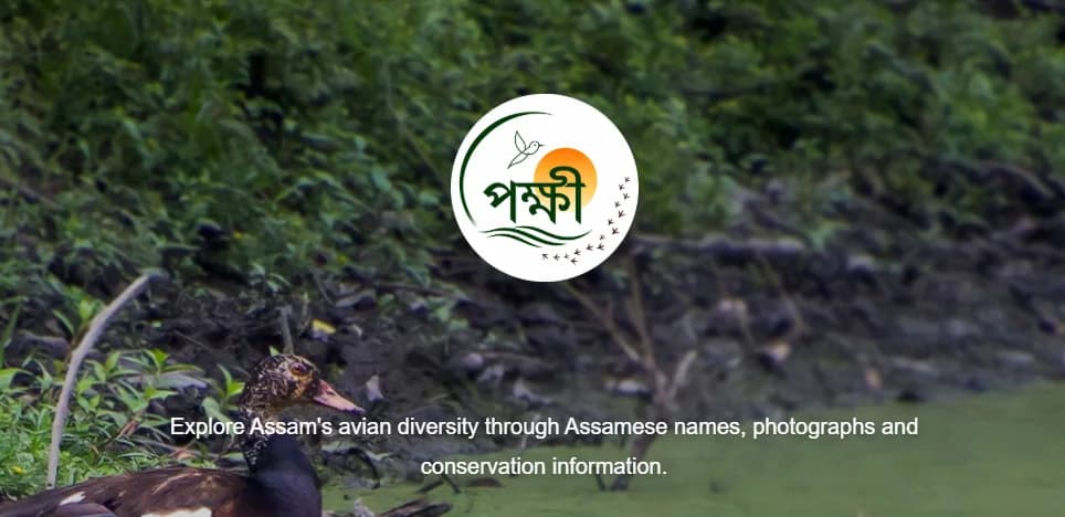 'Pokkhi' Digital Platform Launched to Document Assam's Rich Bird Diversity