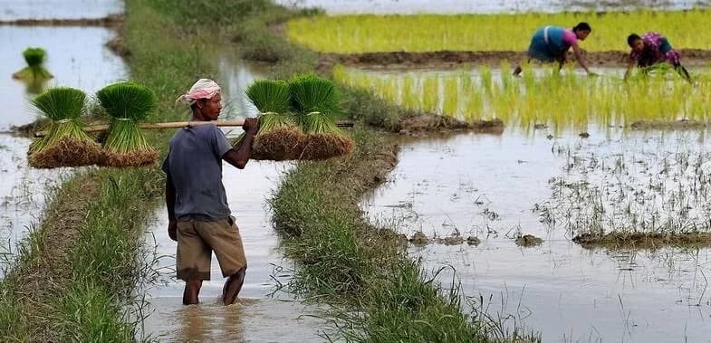 Assam Intensifies Farmer Registration Drive Across Multiple Districts, Says Agriculture Minister Pijush Hazarika
