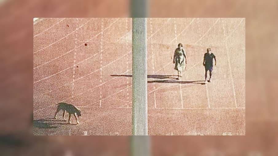 Thyagraj Stadium IAS Transfer: IAS couple who walked the dog in Thyagraj stadium gets transferred to Ladakh and Arunachal Pradesh