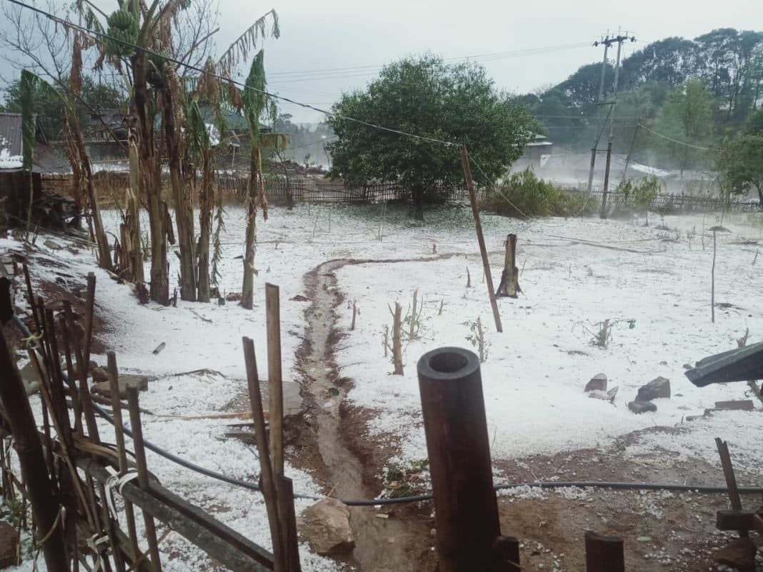 Assam Hailstorm : Storm in Tinsukia hurt 41,000 people and killed 2