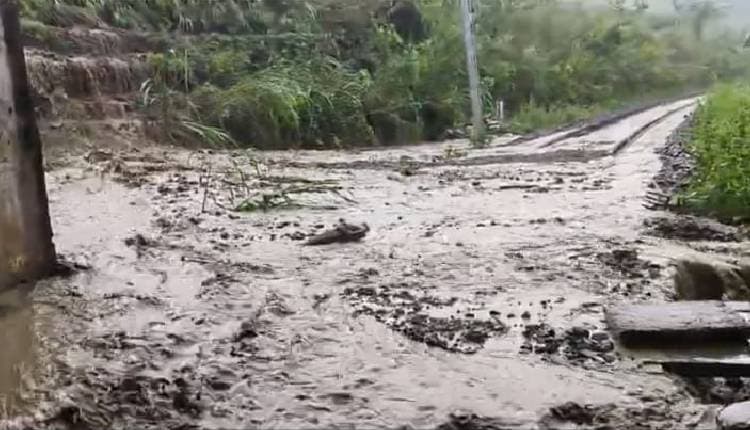Incessant Rains Trigger Landslides, Disrupt Surface Links in Assam