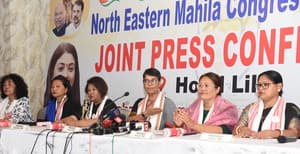 NE Mahila Congress Presidents Slams Assam CM Himanta Biswa Sarma Over 'Dignity-for-jobs' Remark