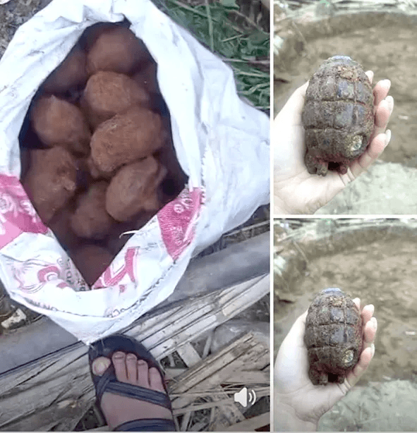 Over 40 Hand Grenades Unearthed at Construction Site in Arunachal Pradesh