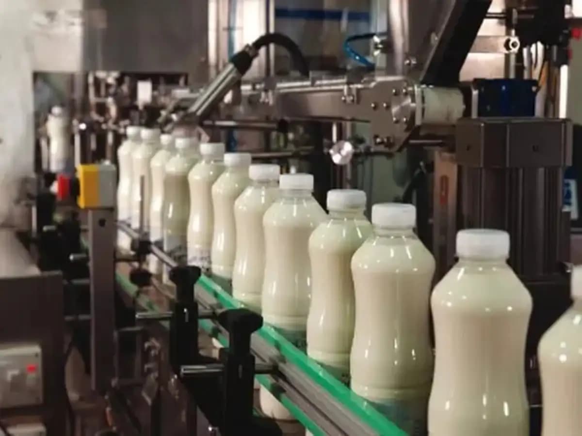 Assam Launches ₹5/Litre Milk Subsidy for Farmers to Boost Dairy Sector; WAMUL Plant Expansion Underway