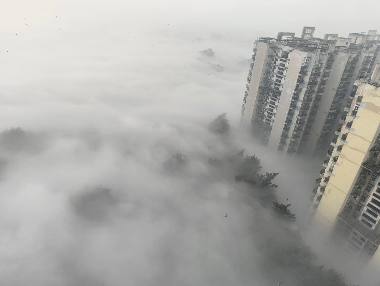 Delhi Air Quality Improves to 'Very Poor' After Three Severe Days