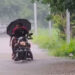 Gauhati University Flood