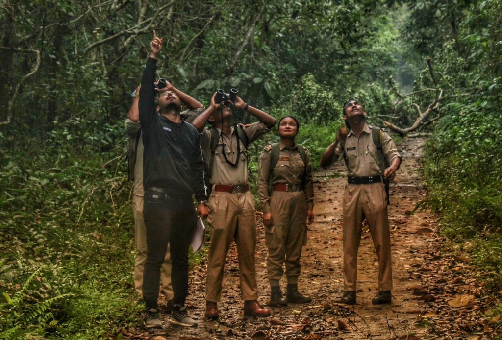 Hoolock gibbon conservation in Assam