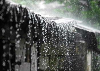 Rainfall in Dibrugarh