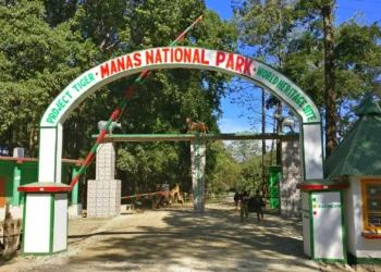 Manas National Park