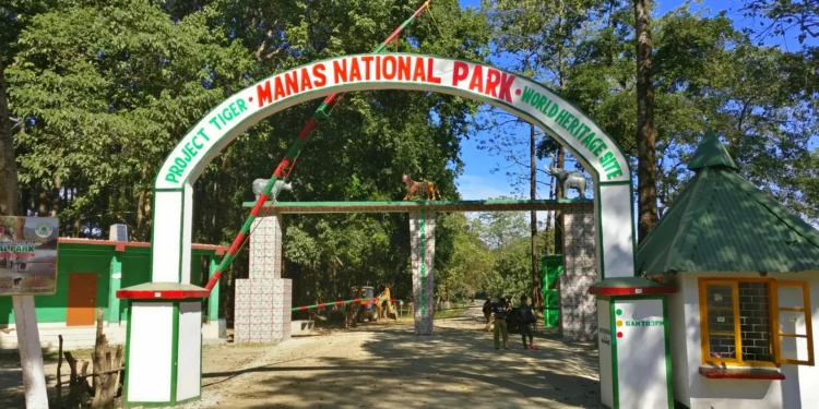 Manas National Park